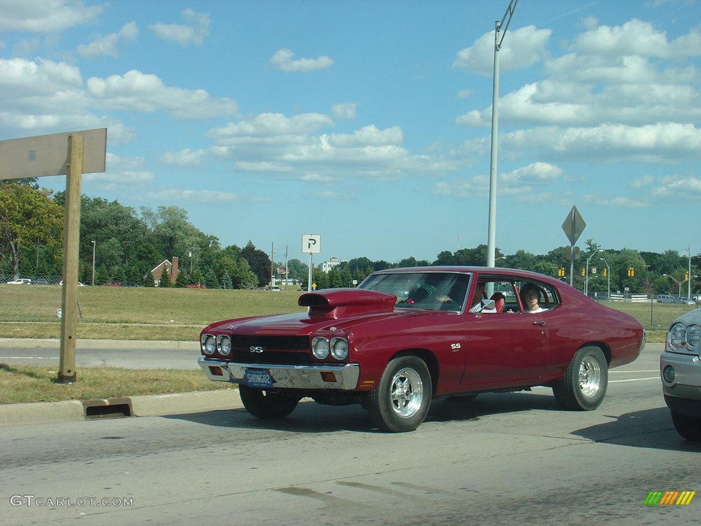 2008 14th Annual Woodward Dream Cruise photo #236096